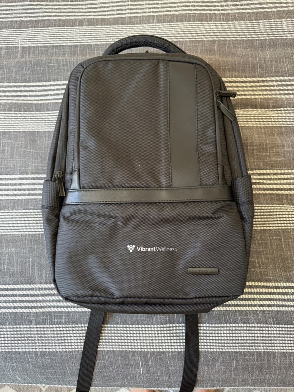 Black Professional Backpack